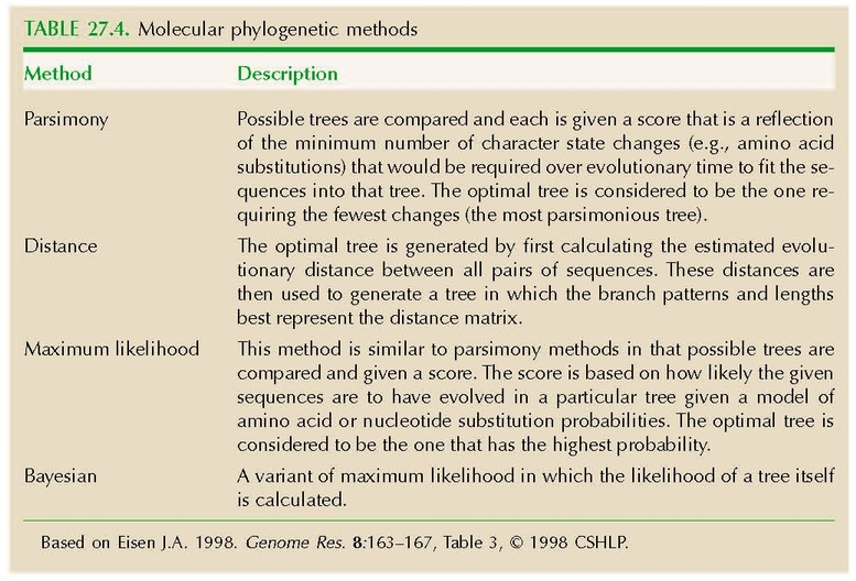 TABLE 27.4. Molecular phylogenetic methods