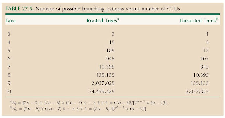 TABLE 27.5. Number of possible branching patterns versus number of OTUs