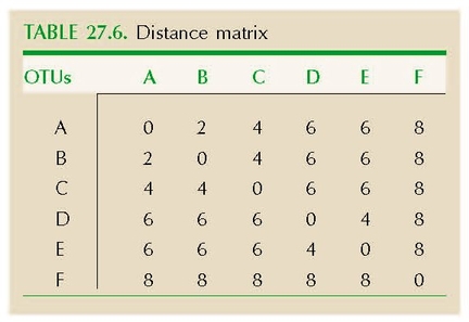 TABLE 27.6. Distance matrix