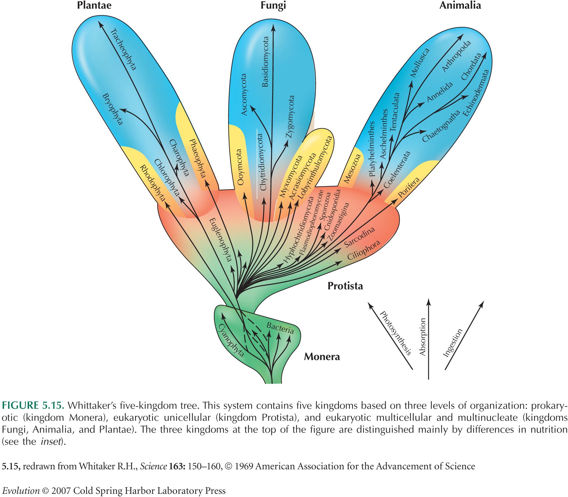 Twisted Tree Of Life Award 2 Science Friday On The Five Kingdoms Jonathan Eisen S Lab