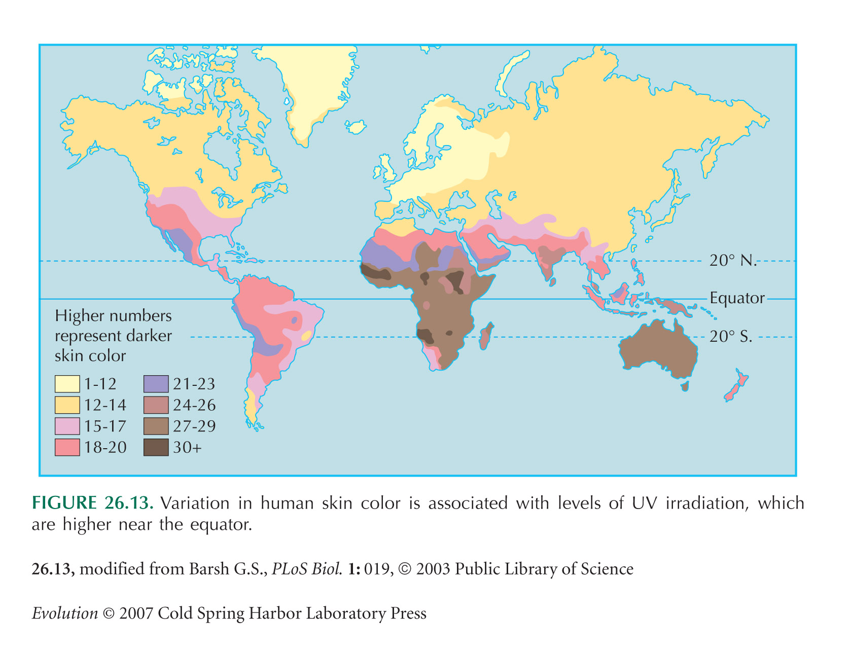 human skin colour