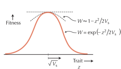 Figure WN18.9 - Stabilizing selection on a quantitative trait.