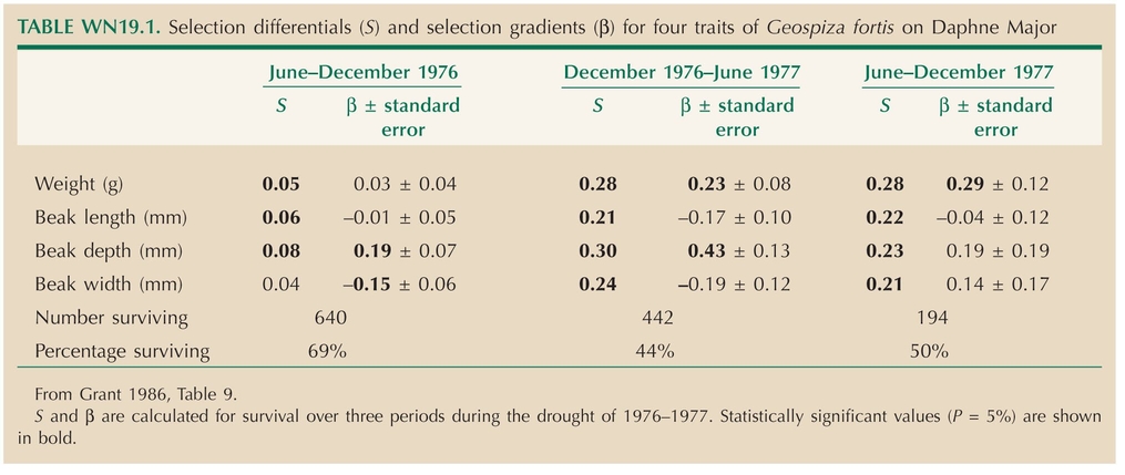 TABLE WN19.1. Selection differentials (S) and selection gradients (β) for four traits of Geospiza fortis on Daphne Major.