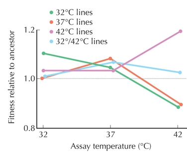 Figure WN20.5 - Adaptation of Escherichia coli to culture at three different temperatures.