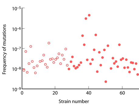 Figure WN23.1 - Variation in mutation rate across natural isolates of Escherichia coli.