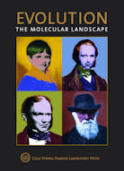 Evolution: The Molecular Landscape