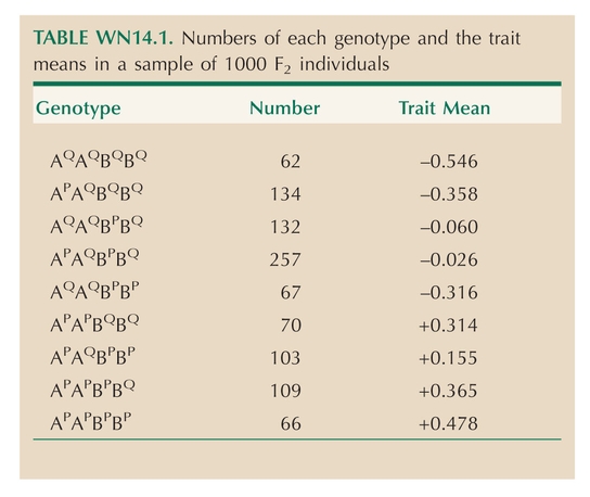 TABLE WN14.1. Numbers of each genotype and the trait means in a sample of 1000 F<sub>2</sub> individuals.